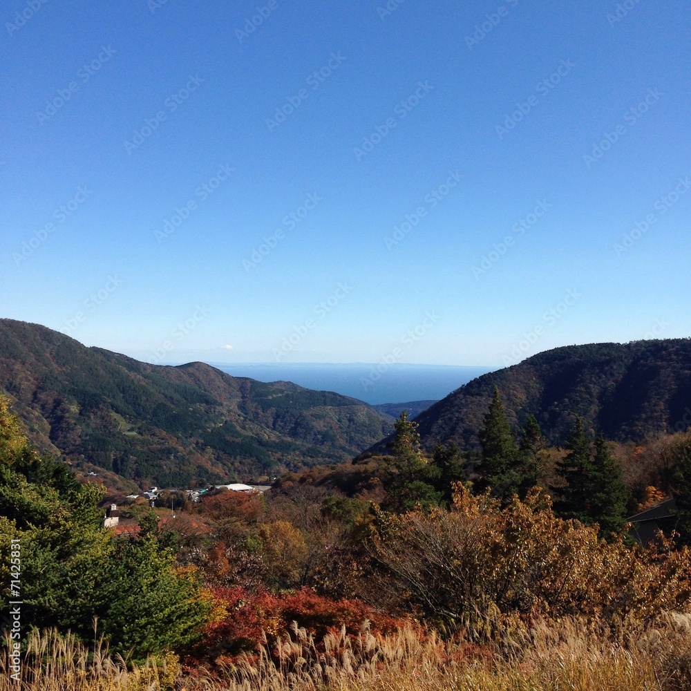 Naklejka premium hakone