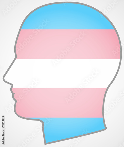 head with a transgender pride flag