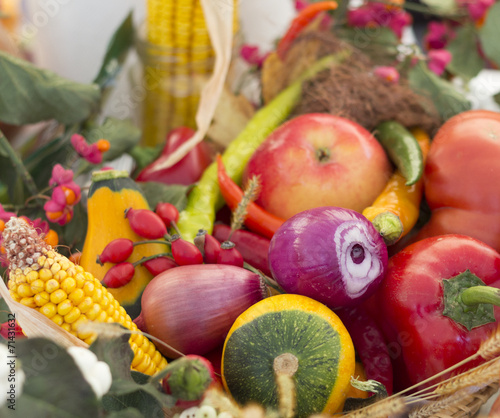 Traditional Hungarian vegetables arrangement photo