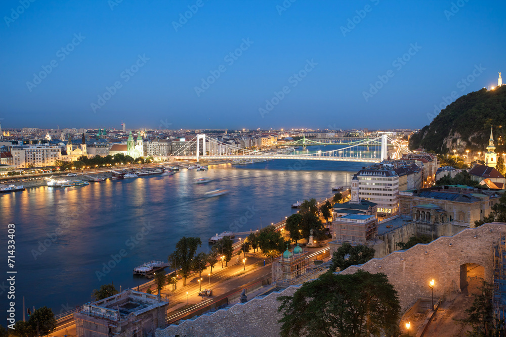 Obraz premium Elisabeth Bridge over Danube river