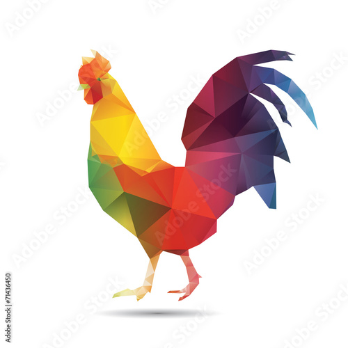 Photo Abstract cock isolated.