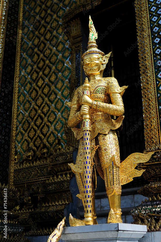Thai giant.
