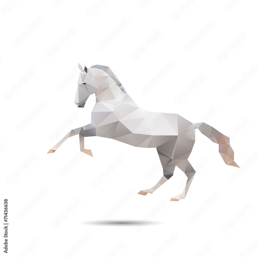 Obraz premium Horse abstract isolated on a white backgrounds