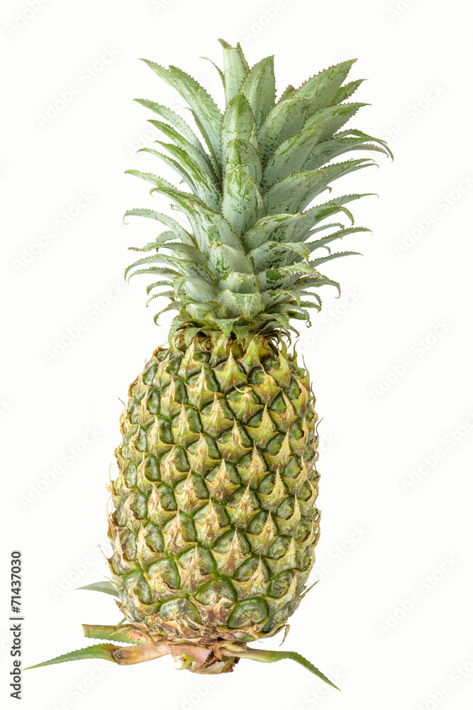 Pineapple on white Pineapple on white