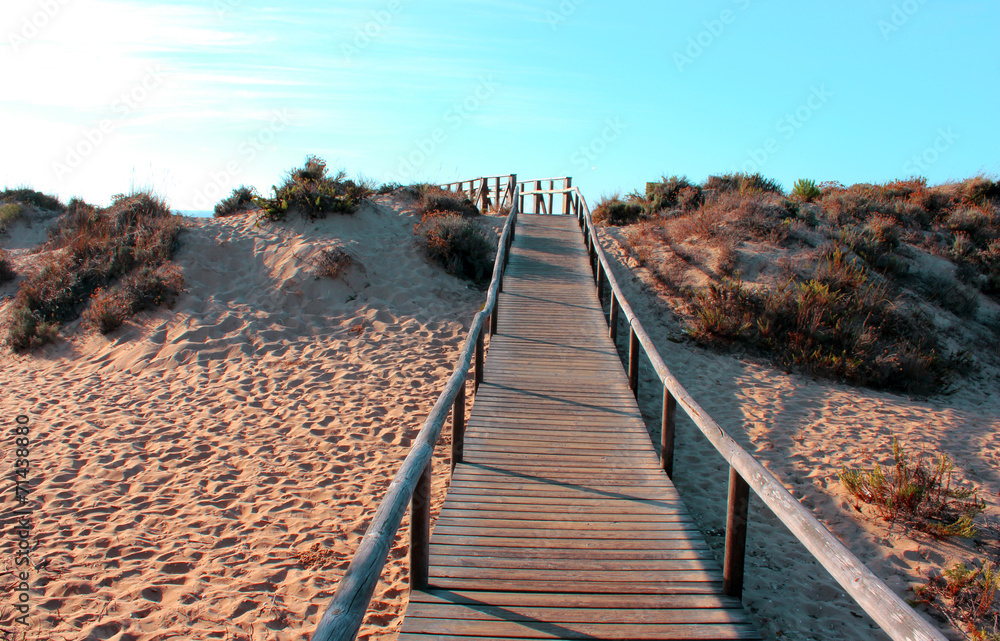 Fototapeta premium Wood road