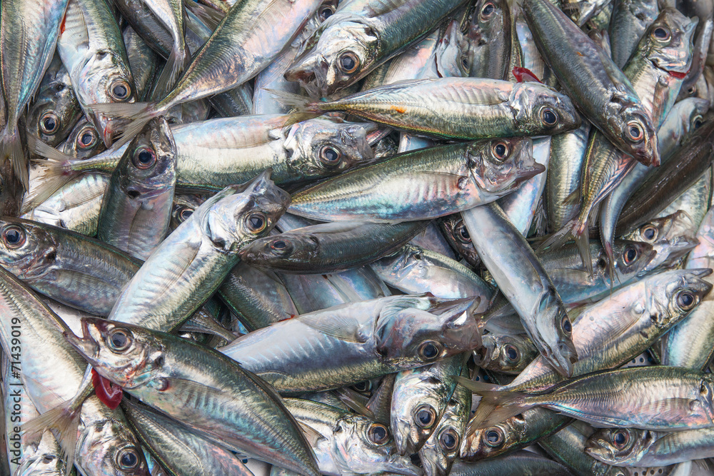 Obraz premium Fresh fish.