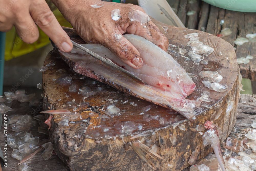 hands cutting a fresh fish on a cutting board