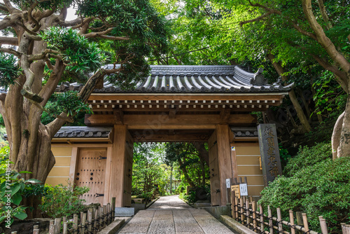 Принти на полотні 鎌倉　報国寺　山門