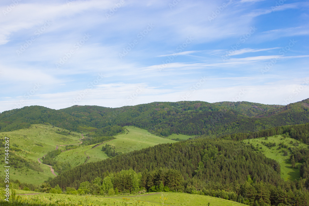 Natural background. Summer mountain landscape