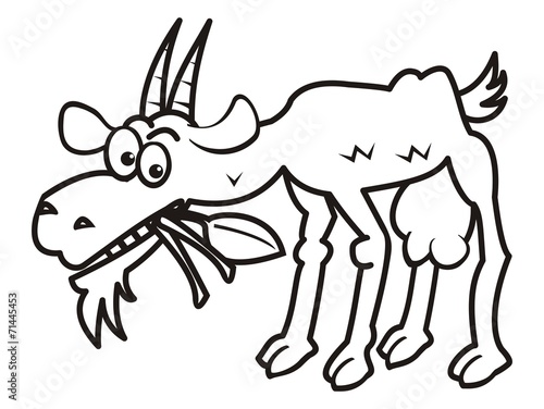 goat, coloring book, vector illustration