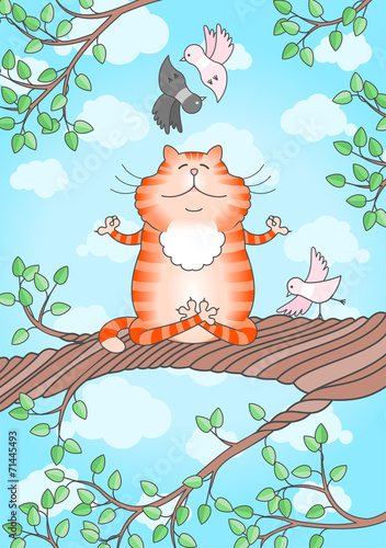 Cat practicing yoga