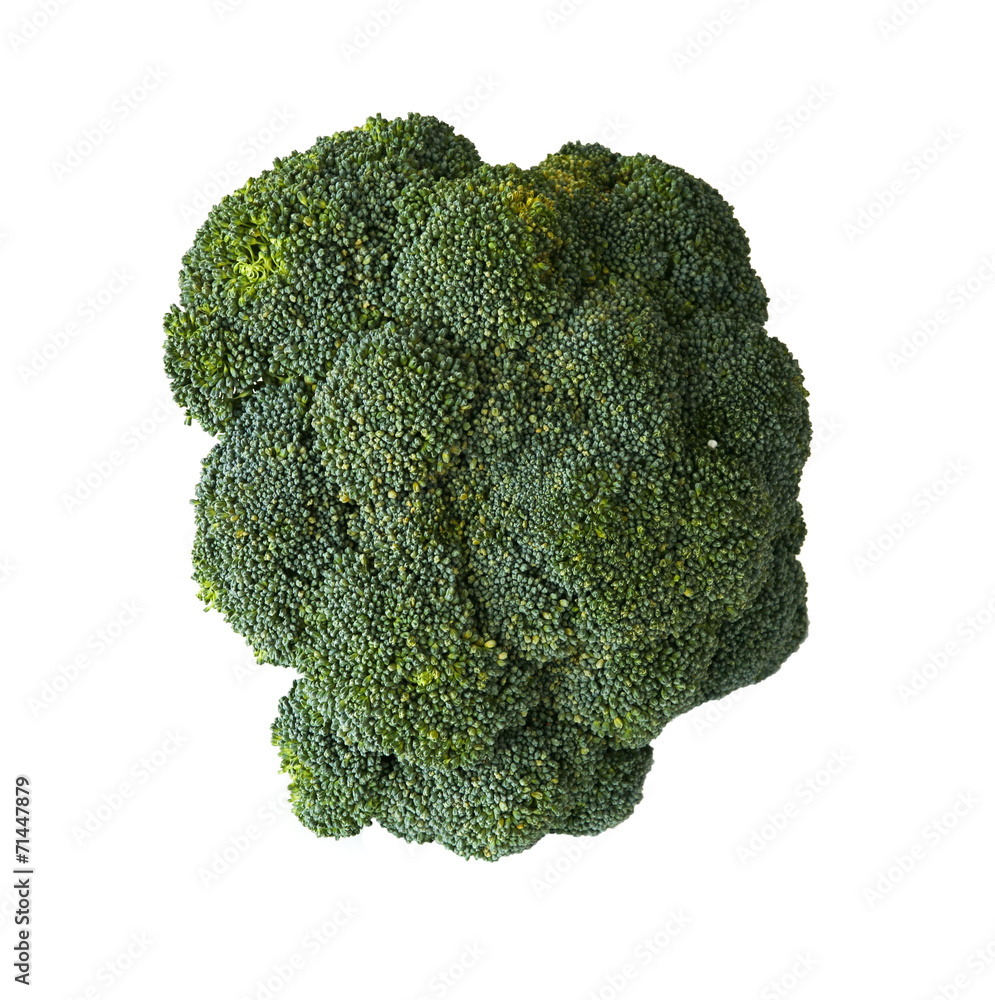 broccoli on white background