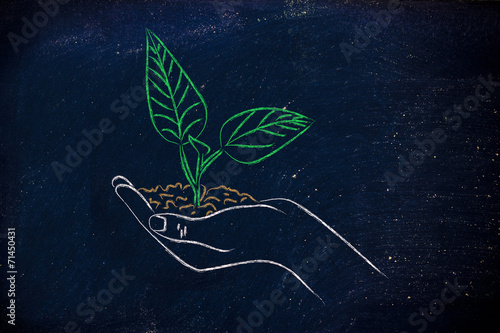 concept of green economy, hands holding new plant photo