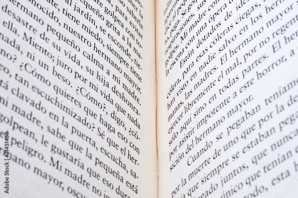 Fototapeta premium open book as background