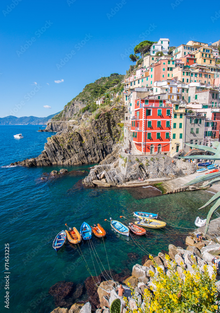 Stunning view of Riomaggiore with cliffs, homes and boats - Cinq