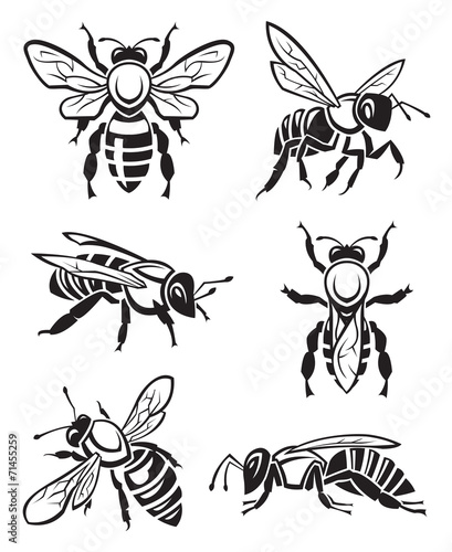 monochrome design of six bees