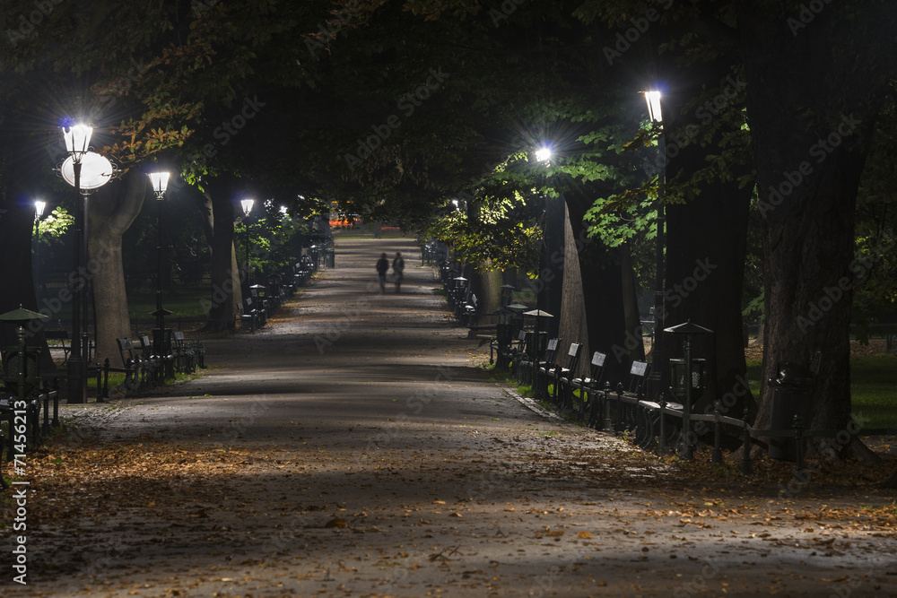 Fototapeta premium Planty Park during the night in Krakow, Poland