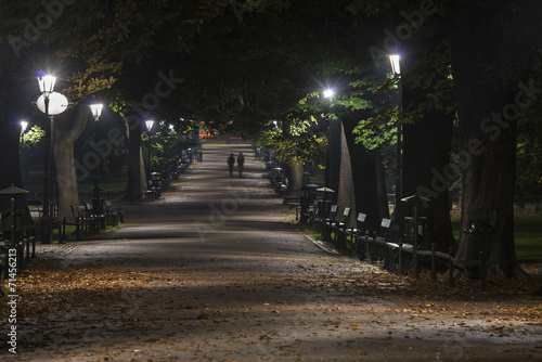 Planty Park during the night in Krakow, Poland #71456213