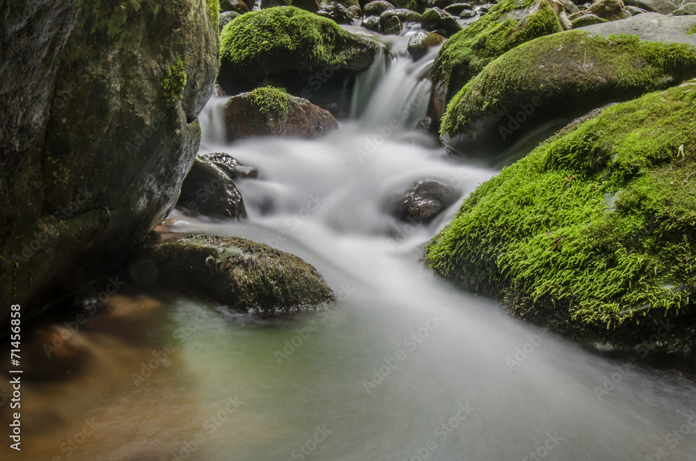 Small Waterfall and Moss Small Waterfall and Moss