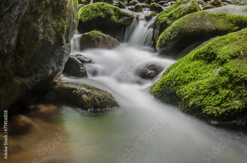 Small Waterfall and Moss