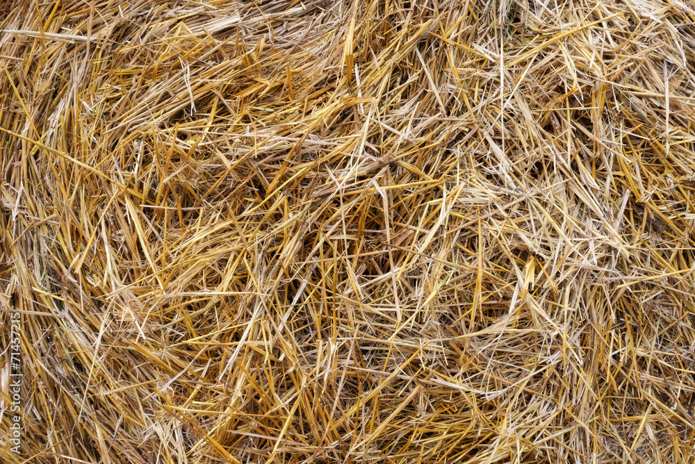 Dry straw background Dry straw background