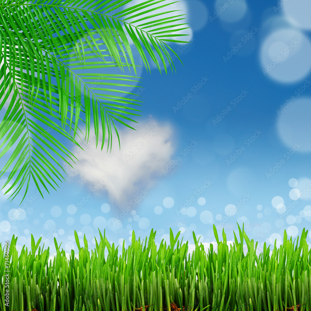 Fototapeta premium natural green background with selective focus
