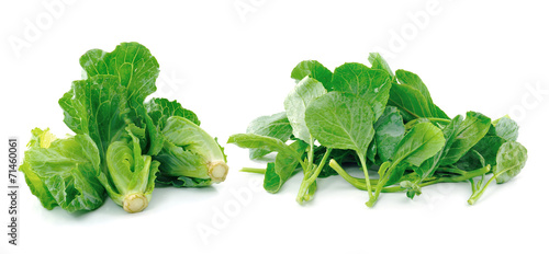 Chinese kale vegetable on white background