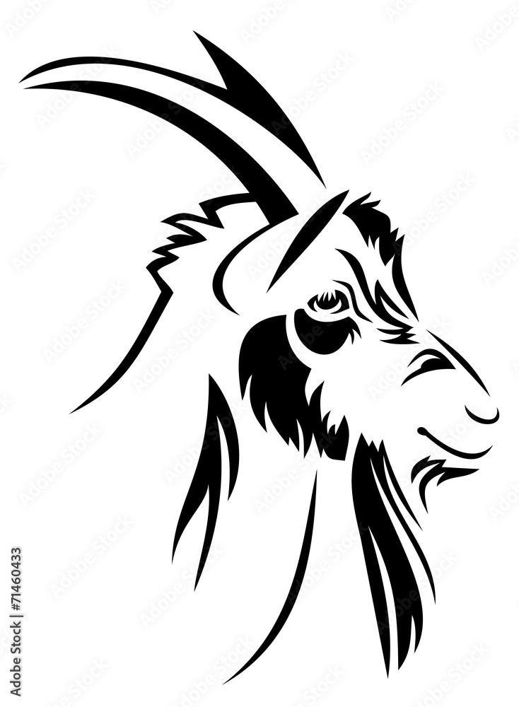Head of the goat Head of the goat