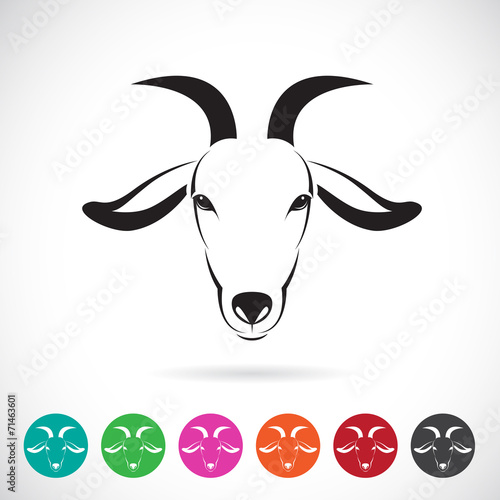 Vector image of an goat head on white background