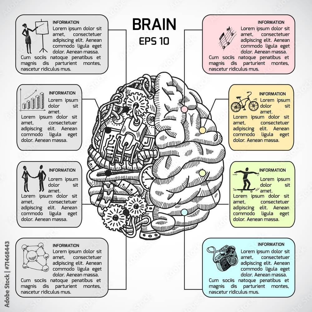 Brain hemispheres sketch infographic - obrazy, fototapety, plakaty 