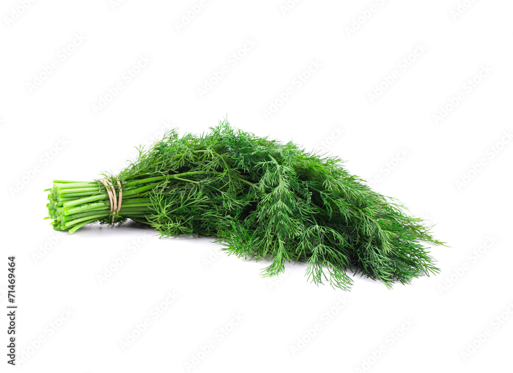Fototapeta premium Bunch of fresh dill.