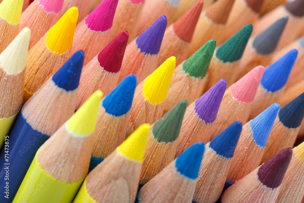 Multi colored pencils macro shot