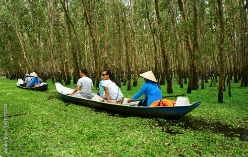Tra Su indigo forest, Vietnam ecotourism photo