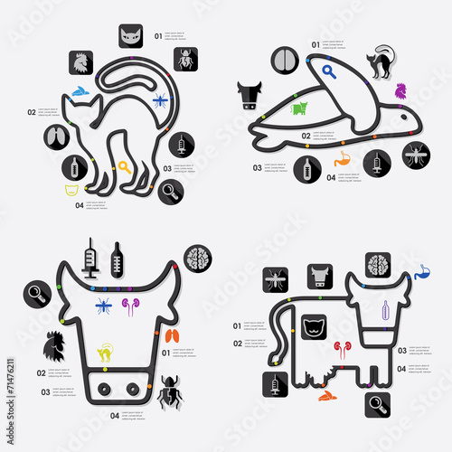 veterinary infographic