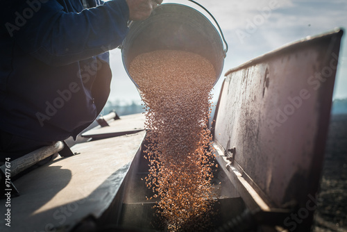Farmer pours grain
