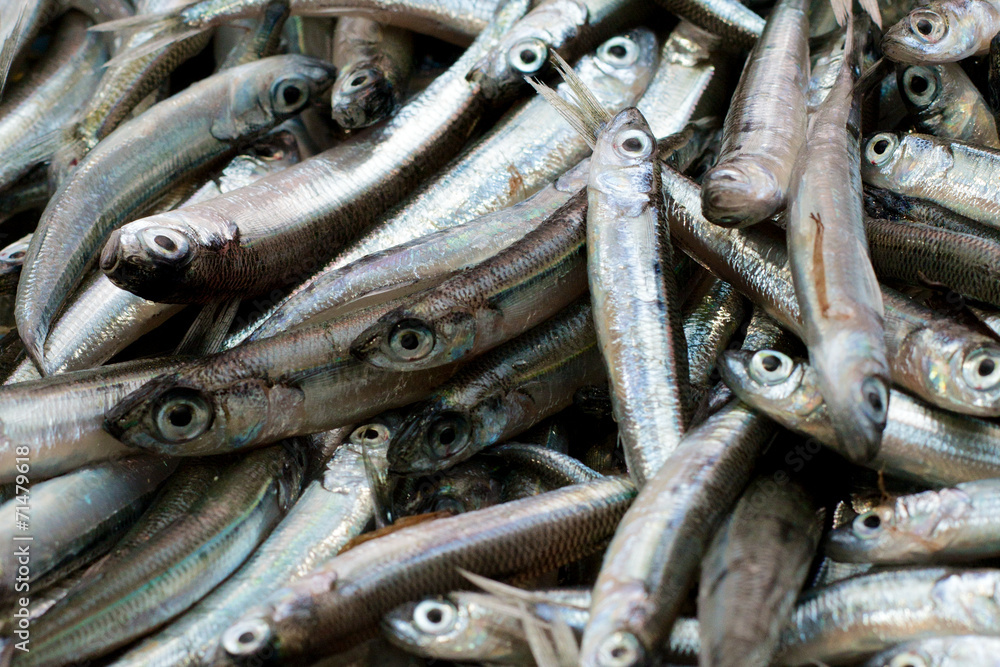 Sardinen - Fischmarkt Sardinen - Fischmarkt