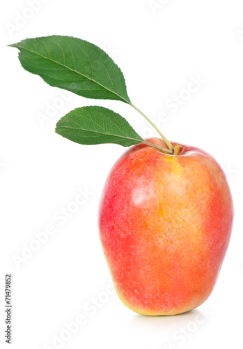 Ripe apple