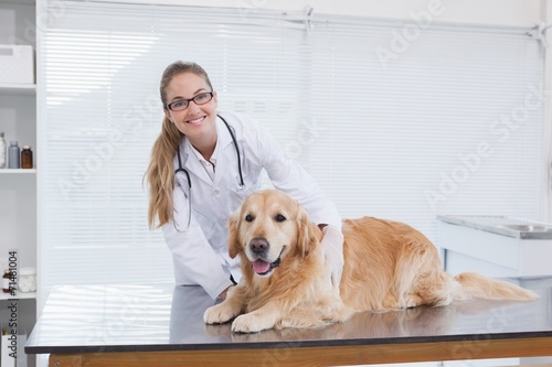Fototapeta Naklejka Na Ścianę i Meble -  Smiling vet examining a labrador