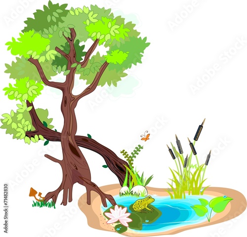 Two trees with green leaves and pond