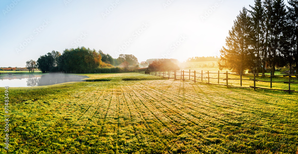 Naklejka premium Sunrise over misty grassland 