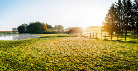 Sunrise over misty grassland    