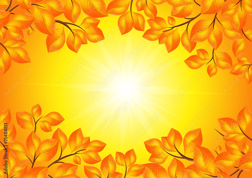 Yellow leaves frame Yellow leaves frame