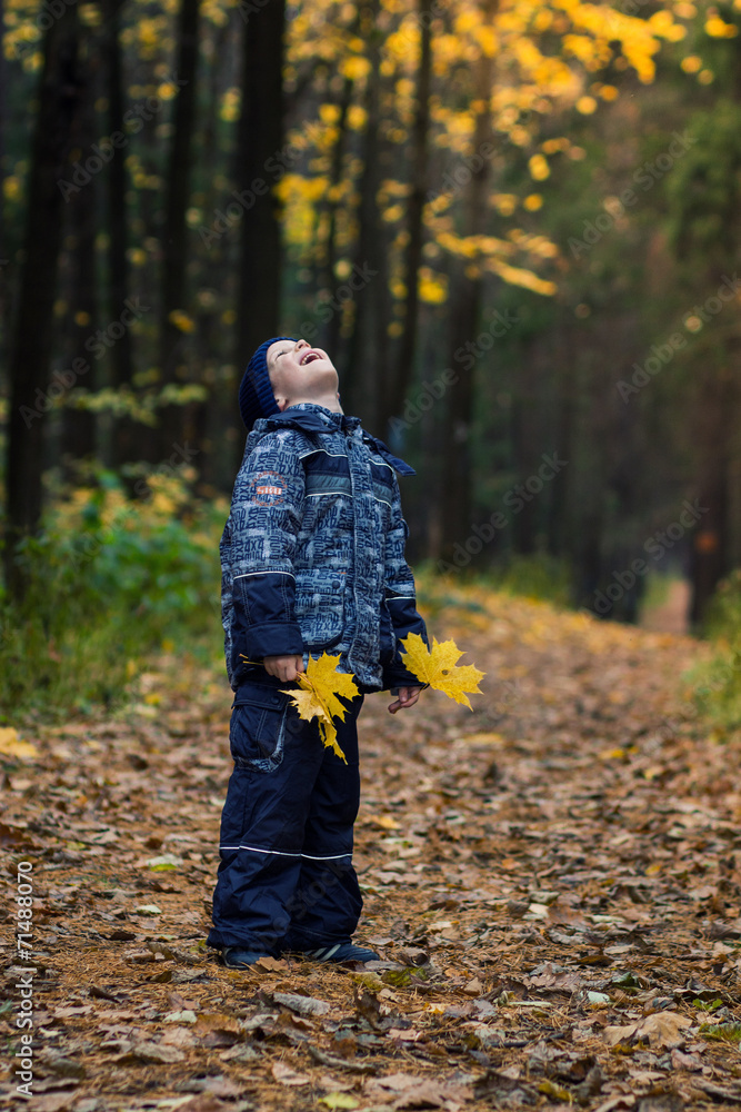 boy with autumn leaves boy with autumn leaves
