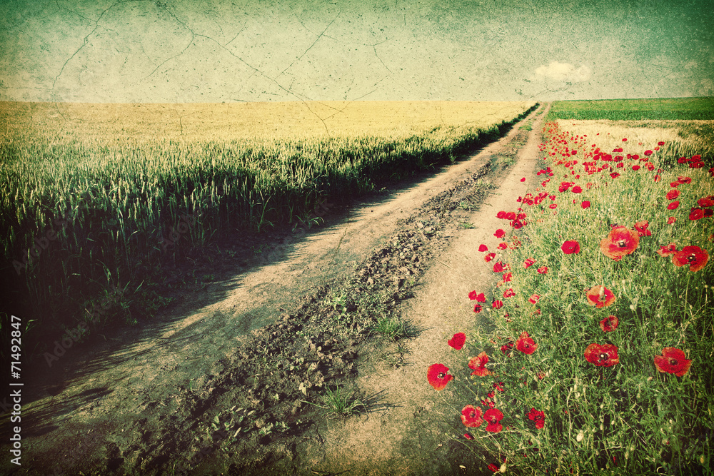 Fototapeta premium Dirt country road - Vintage image