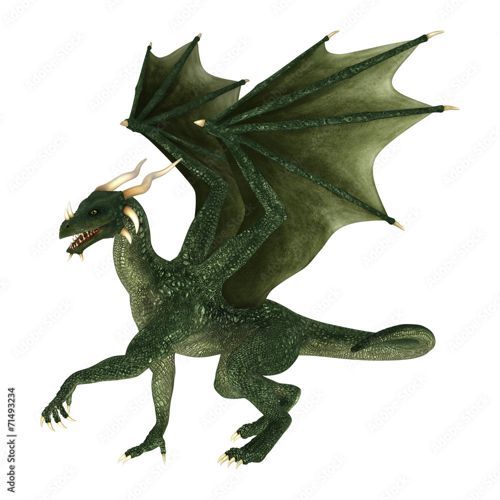 Fototapeta premium Fantasy Dragon