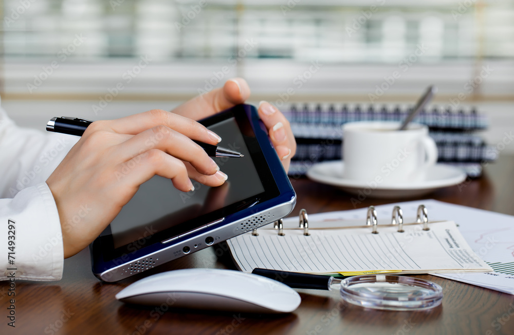 Fototapeta premium Business accounting