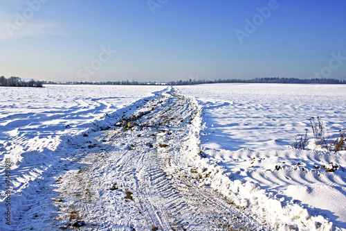 Winter road in a snowy field