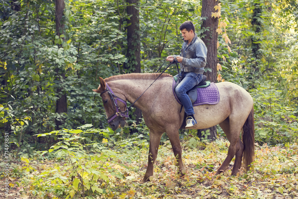 horse ride young guy autumn forest horse ride young guy autumn forest