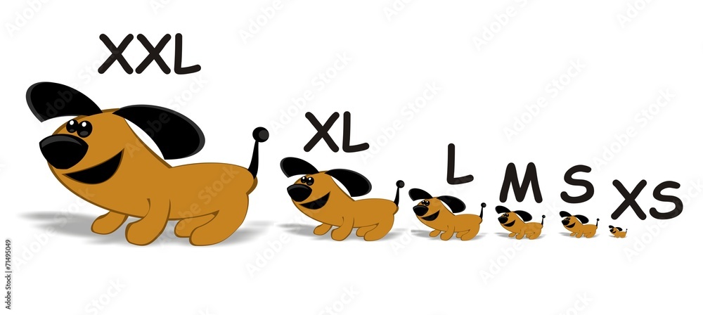 size chart dogs - xxl, xl, l, m, s, xs