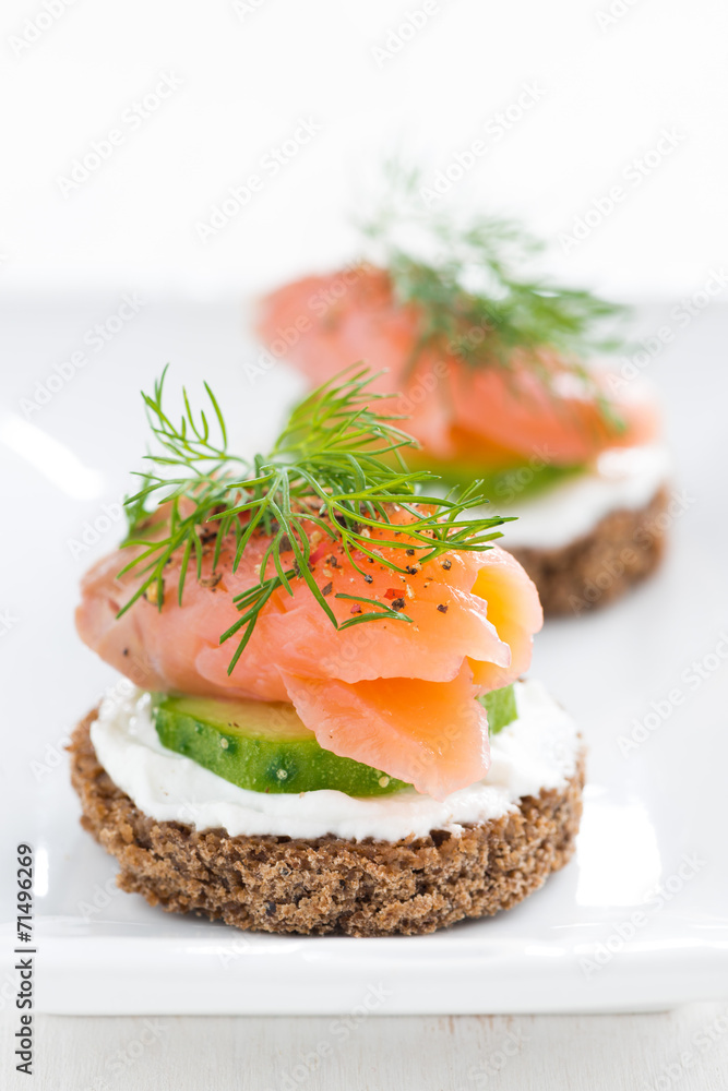 canape with cheese, cucumber and salmon, close-up canape with cheese, cucumber and salmon, close-up